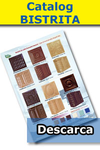 Descarcare catalog BISTRITA